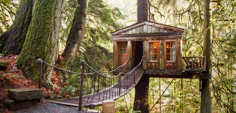 10 Washington State treehouse rentals perfect for a weekend getaway - Curbed Seattle Treehouse Vacations, Nature Houses, Treehouse Airbnb, Treehouse Point, Library Hotel, Copper House, Treehouse Hotel, Treehouse Cabins, Hotel Floor