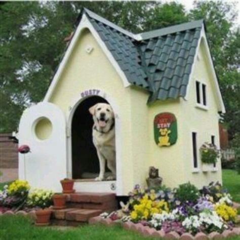 Nice dog house Indoor Dog House, Cool Dog Houses, Dog House Diy, Indoor Dog, Pet Sitters, Dog Houses, Animal House, Diy Dog Stuff, Dog House