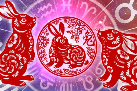 Chinese New Year predictions: What to expect in 2023 Rabbit People, Dynasty Show, Nostradamus Predictions, Water Rabbit, The Year Of The Rabbit, Great Fire Of London, Zodiac Years, The Great Fire, Lucky Colour