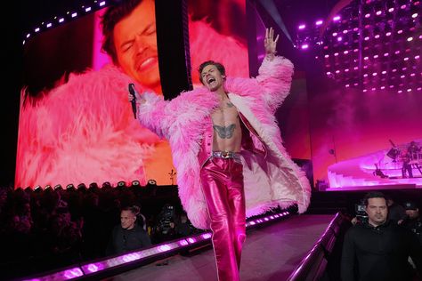 Harry Styles Concert Outfit, Love On Tour Outfits, Harry Styles Outfit, Carly Rae Jepsen, Harry Styles Concert, Regina George, Elizabeth Hurley, Brit Awards, Coachella Festival