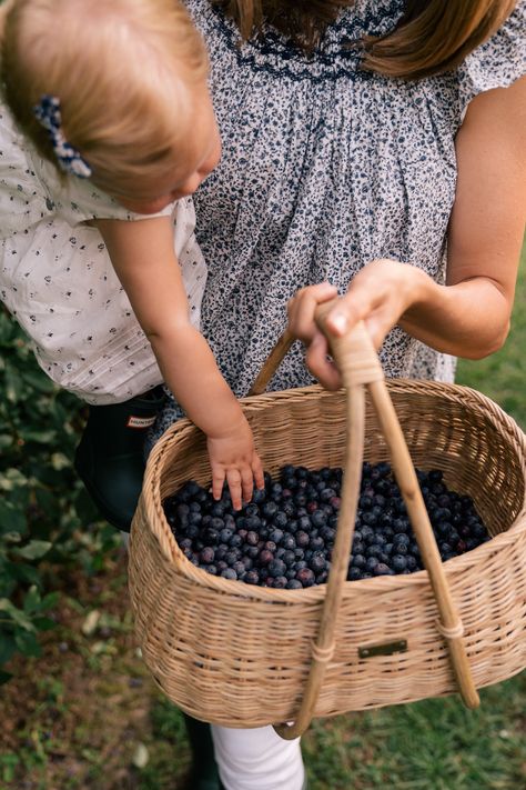 Blueberry Photoshoot, Blueberry Field Photoshoot, Blueberry Picking Photoshoot, Blueberry Picking Aesthetic, Farm Kids Aesthetic, Picking Blueberries, Blueberry Bush Aesthetic, Blueberry Picking, Blueberry Farm