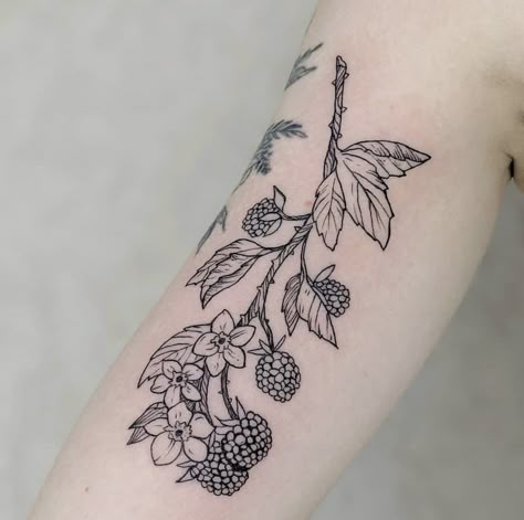 Black Cherry Tattoo, Traditional Bear Tattoo, Blackberry Tattoo, Blackberry Fruit, Cherry Tattoo, Cherry Tattoos, Octopus Tattoo Design, Food Tattoos, Mushroom Tattoos