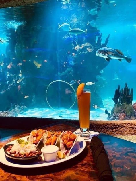 🐡🐠🐟The Aquarium Restaurant 🐠🐟🐡 📍Nashville, Tennessee 🗺️ Who has been here? It is a must to see if you go to Nashville! Definitely on my bucket list 🤩 #nashvilletennessee #whyknottravel www.whyknottravel.com Aquarium Restaurant, Tennessee Aquarium, My Bucket List, The Aquarium, Nashville Tennessee, Nashville, Tennessee, Bucket List, Restaurant