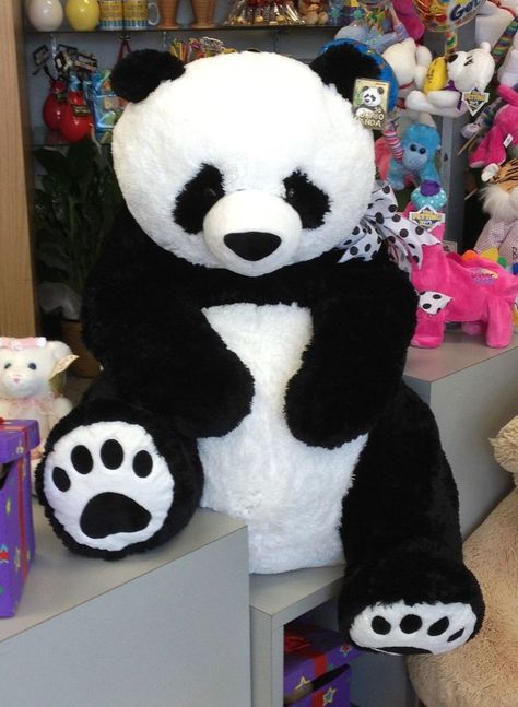 Panda Bear, Stuffed Animals, Books Wattpad, Wattpad, Books, Animals