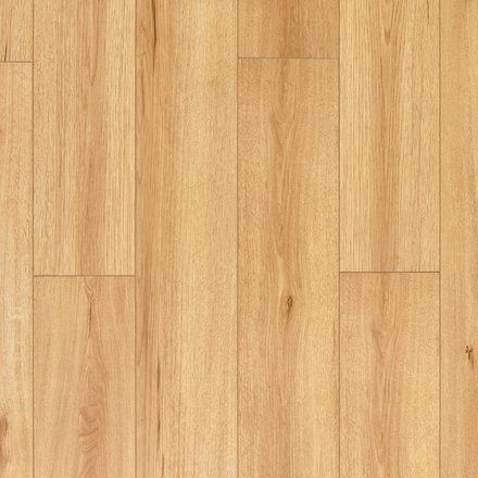 Shields Maple Waterproof Laminate Blonde Laminate Flooring, Maple Laminate Flooring, Indoor Porch, Waterproof Wood, Installing Laminate Flooring, Waterproof Laminate Flooring, Three Season Room, How To Waterproof Wood, Laminate Colours