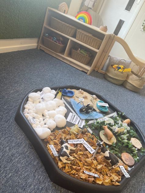 Season Tuff Tray Ideas, Seasons Tuff Tray, Eyfs Provision, Autumn Eyfs Activities, Autumn Eyfs, Jungle Activities, Curiosity Approach, Preschool Room, Reception Class