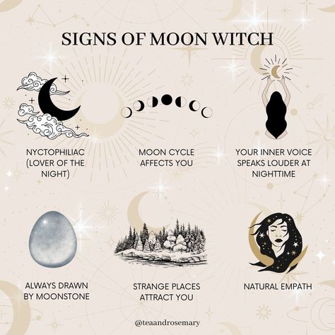 Witch Circle Aesthetic, Witchy Sketches, Tea Board, Eclectic Witchcraft, Tarot Guidebook, Sister Circle, Lunar Witch, Witch Rituals, Wiccan Symbols