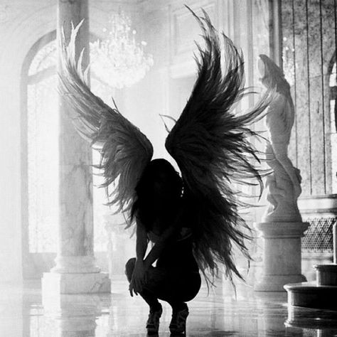 Angel Shadow, Shadow Aesthetic, Aesthetic Angel, Reading Lists, I Hope, Angel, Reading