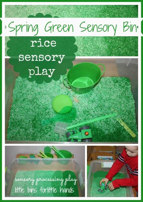 green colored rice sensory bin Colored Rice Sensory Bin, Spring Sensory Play, Rice Sensory Bin, Spring Sensory, Green Activities, Sensory Bin Play, Sensory Play Ideas, Sensory Tubs, Spring Art Projects