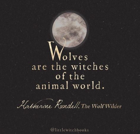 Wolf Witch Aesthetic, Wolf Meaning, Witchy Quotes, Magical Wolf, Wolf Stuff, Wolf Quotes, Osho Quotes, Wolf Spirit Animal, Witchy Wallpaper