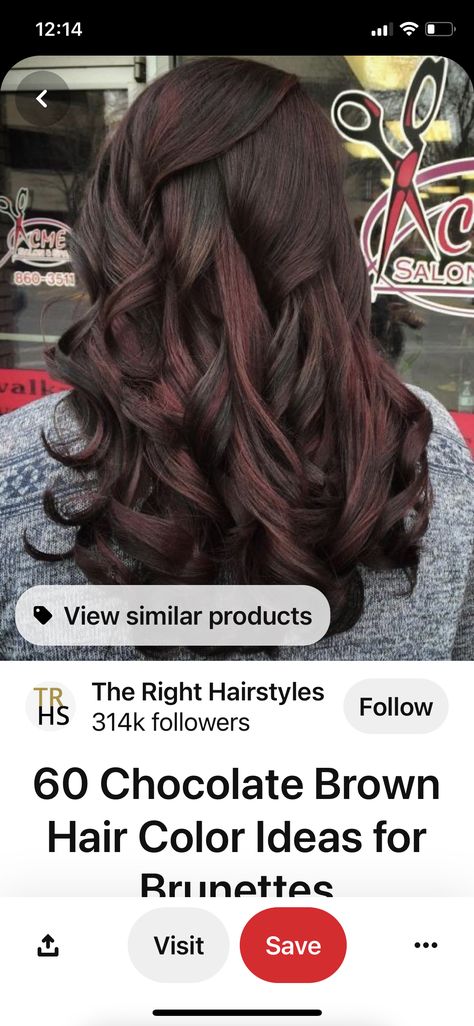 Hair Colour For Indian Skin Brown, Hair Color For Indian Skin Tone, Highlights For Black Hair And Indian Skin, Indian Skin Hair Color, Hair Highlights For Black Hair, Hair Colour For Indian Skin, Indian Hair Highlights, Global Hair Color, Cherry Brown Hair