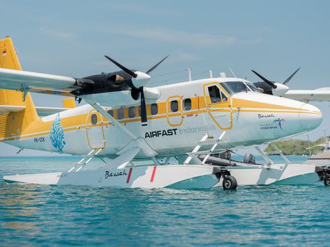 Plane Float, Amphibious Aircraft, Bush Plane, Sea Plane, Float Plane, Flying Boat, Commercial Aircraft, Jet Plane, Vintage Aircraft