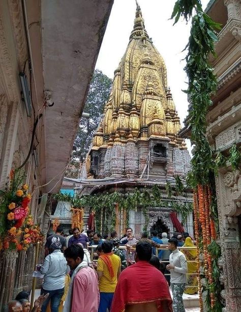 Kashi Vishwanath Temple, Kashi Vishwanath, God Shiva, Hindu Temple, Photo Art Gallery, God Illustrations, Varanasi, Ancient Times, Lord Shiva