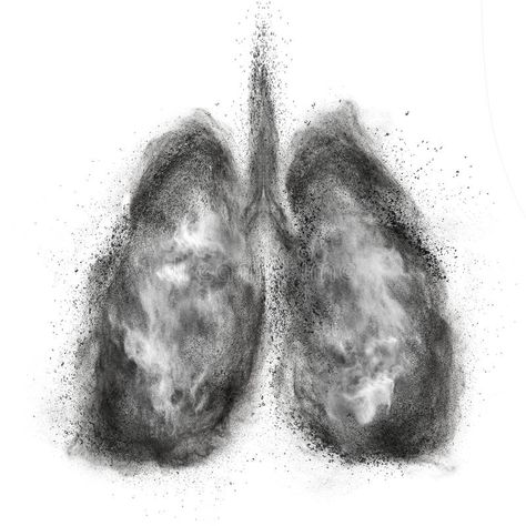 Lungs made of black powder explosion isolated on white. Background #Sponsored , #advertisement, #Sponsored, #black, #white, #Background, #powder Lungs Wallpaper, Thorax Anatomy, Black Lungs, Powder Explosion, Future Wallpaper, Lungs, Stock Pictures, Royalty Free Photos, Royalty Free Images