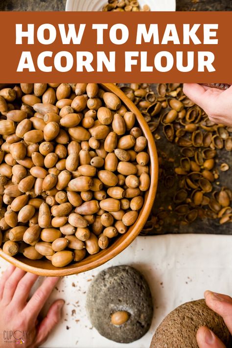 Acorn flour is fun to make and totally edible! Native Americans have been grinding acorns into flour and using the flour to make hearty stews and breads for hundreds of years - and you can too! #acornflour Acorn Bread Recipe, Acorn Recipe, Acorn Flour, Eating Acorns, Survival Food Storage, Cupcake Project, Wild Food Foraging, Foraging Recipes, Witch Herbs