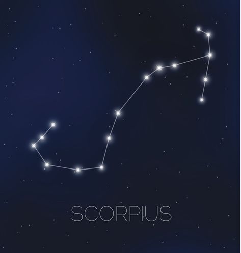 Scorpius Constellation Scorpion Constellation, Scorpius Constellation, Constellation Scorpio, Scorpio Constellation, Virgo Woman, Scorpio Man, Coordinate Plane, Zodiac Signs Scorpio, Virgo Women