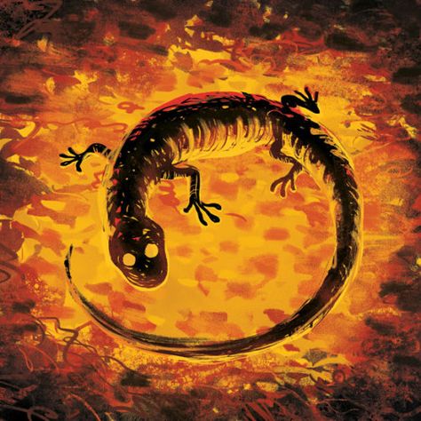 salamander magically linked with elemental fire. Immune to fire and can create fire Salamander Mythology, Salamander Aesthetic, Fire Guardian, Salamander Tattoo, Fire Salamander, Beautiful Wolf, Mythological Animals, Mythical Beasts, Fahrenheit 451