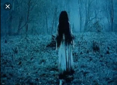 The Ring Movie Horror, Samara Morgan, Ring Movie, Colchester Essex, Horror Movie Icons, Living Off The Land, Samara, The Ring, Horror Movie