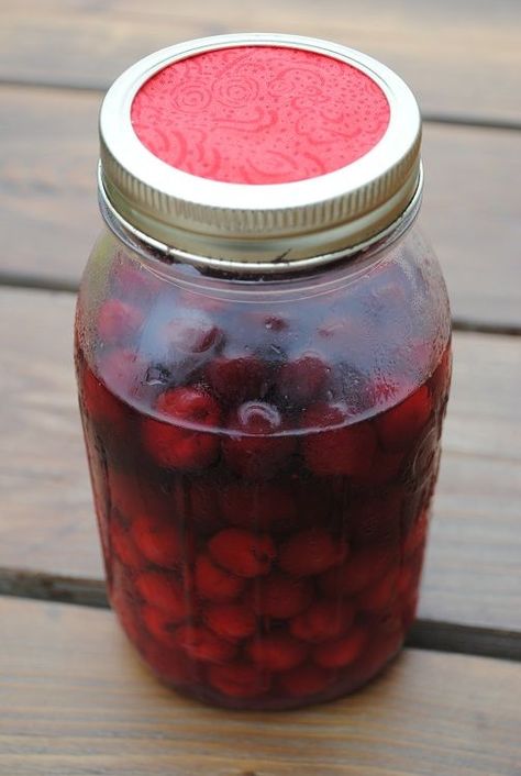 Kirsch aka Cherry Liquor (Lori's Lipsmacking Goodness) Quick Pickled Radishes, Cranberry Drinks, Homemade Liquor, Cranberry Vodka, Pickled Radishes, Infused Vodka, Summer Appetizer, Thanksgiving Menu, Radishes