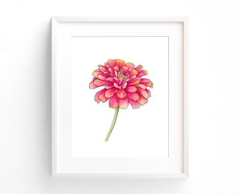 Zinnia Watercolor, Pink Floral Wall, Zinnia Flower, Zinnia Flowers, Mural Floral, Watercolor Flowers Paintings, Botanical Watercolor, Floral Prints Art, Paintings Art Prints