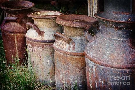 Antique Milk Can Old Metal Milk Can Ideas, Milk Can Ideas, Milk Can Decor, Antique Milk Can, Can Ideas, Old Milk Cans, Ordinary Objects, Farm Scenes, Vintage Milk Can