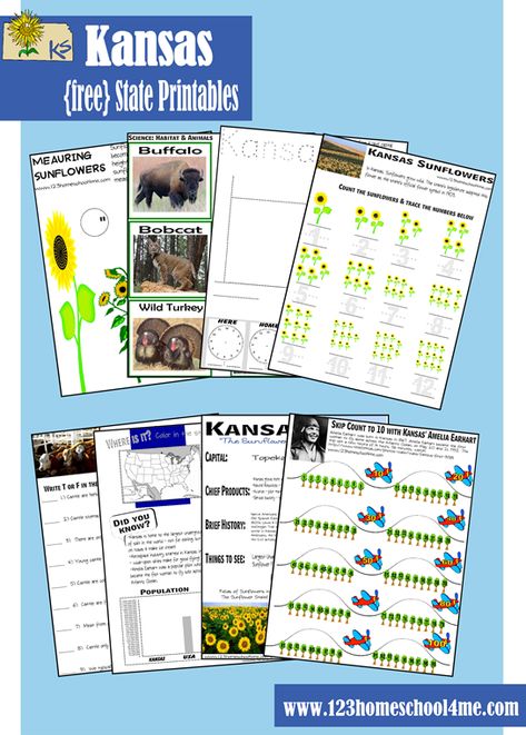 FREE Kansas State Worksheets for kids Preschool - 5th grade to learn about Kansas in a fun, interactive way! #preschool #homeschool #social studies #kansas #unitedstates Kansas Day Activities, State Worksheets, Homeschool Units, January Kindergarten, Kansas Day, 123 Homeschool 4 Me, State Of Kansas, Homeschool Social Studies, Homeschool Freebies