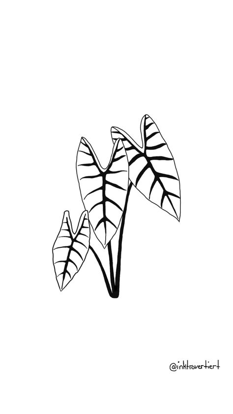 Alocasia plant tattoo flash art design small floral drawing black and white Alocasia Leaf Tattoo, Alocasia Plant Tattoo, Alocasia Drawing, Plant Flash Tattoo, Calathea Tattoo, Alocasia Tattoo, Plant Drawings Simple, Small Plant Tattoo, Silouette Tattoo