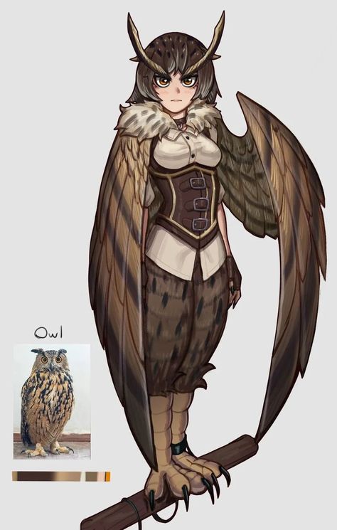 Animal Traits, Animal Body Parts, Owl Girl, Bird People, Hybrid Art, Bird Girl, Ange Demon, Owl Pet, Cute Fantasy Creatures