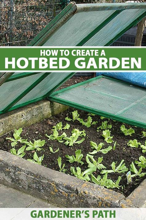 Benefits Of Vegetables, Vegetable Benefits, Cold Frame, Fresh Veggies, Early Learning, Diy Inspiration, How To Build, Health Benefits, In The Middle