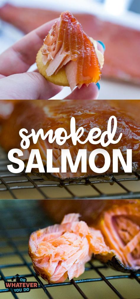 This recipe for Smoked Salmon is so easy to make, and you will be amazed at the flavor of home-smoked salmon. Real maple syrup for the win! Smoked Sockeye Salmon Recipes, How To Make Smoked Salmon, Traeger Salmon Recipes, Traeger Salmon, Traeger Smoked Salmon, Smoked Dishes, Smoked Salmon Recipe, Electric Smoker Recipes, Smoked Recipes