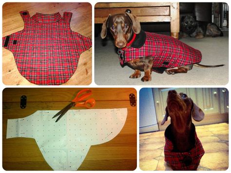 DIY dog coat - I adapted this pattern for Leonard the dachshund, tracing the shape from an existing coat, adding a collar and front button closure. I'm still perfecting the design to fit his sausage dimensions ... ! #sewing Diy Dog Coat, Dog Jacket Patterns, Diy Dog Sweater, Dog Coat Pattern, Pretty Dog, Dachshund Clothes, Dachshund Pattern, Fleece Dog Coat, Dog Clothes Diy