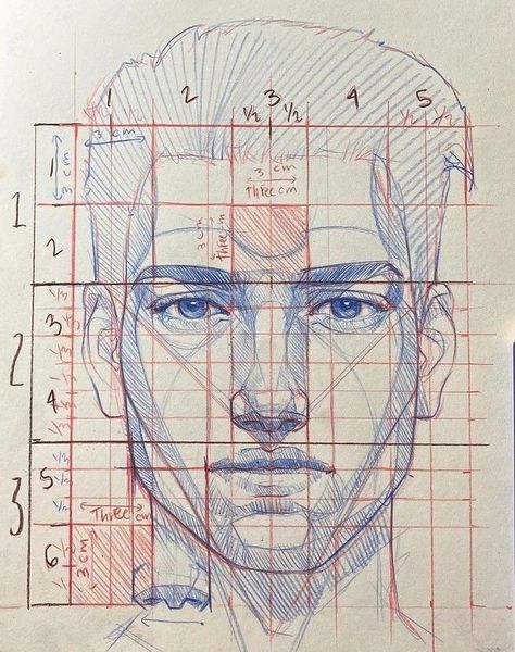 Face Proportions Drawing, Portrait Drawing Tips, Drawing Proportions, Human Body Drawing, Drawing Tutorial Face, Human Anatomy Art, Portraiture Drawing, Anatomy Drawing, New York New York