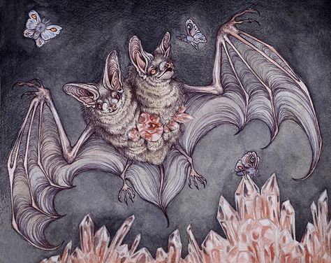 Small Scale Paintings - Contemporary Mythology Bat Wallpaper, Caitlin Hackett, Bat Art, Bat Tattoo, Spooky Tattoos, Creepy Art, Halloween Art, Dark Art, Artist Inspiration