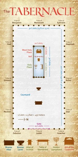 The Tabernacle The Tabernacle In Exodus, Tabernacle Of Moses, Bible Overview, Learn The Bible, Bible Study Help, Bible History, Bible Study Notebook, The Tabernacle, Bible Study Lessons