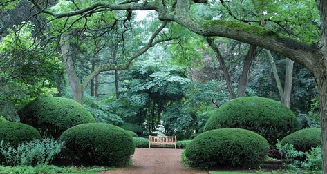 Cantigny Park, Wheaton Illinois, Chicago Wedding Photography, Engagement Locations, Story Ideas Pictures, Nature Trail, Park Weddings, Get Directions, Walking In Nature