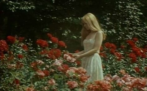 Imagem de flowers, vintage, and rose Half Elf, Vintage Americana, Princess Aesthetic, Jolie Photo, Red Aesthetic, Divine Feminine, Aesthetic Photo, Nickelodeon, Lana Del Rey