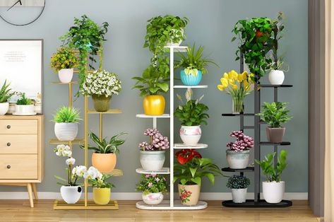 Looking for chic ways to display your plants? 🌿 Check out HeyHey's metal plant racks collection for some serious inspiration! Create your own indoor oasis. #PlantRacks #IndoorPlants #HomeDecor #HeyHeyAU Metal Flower Pots, Balcony Flowers, Plant Pot Holders, Metal Plant Stand, Wood Plant Stand, Flower Pot Holder, Plant Decor Indoor, Plant Stand Indoor, House Plants Decor