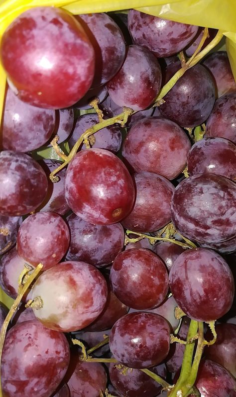 Grapes Aesthetic, Fruit Store, Aesthetic Content, Delicacy Food, Chill Photos, Tumblr Photography, Snap Food, Instagram Food, Beautiful Nature Pictures