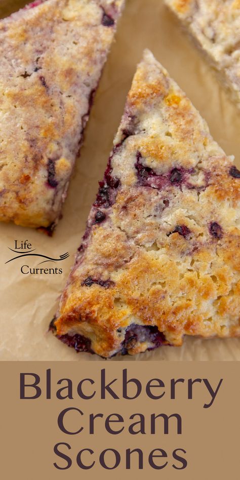 a Blackberry Cream scone on parchment paper, title on bottom of image. Utah Scones Recipe, Blackberry Recipes Savory, Marionberry Scones, Savoury Scones Recipe, Blackberry Breakfast Recipes, Blackberry Scones Recipe, Moist Scones, Blackberry Scones, The Best Scones