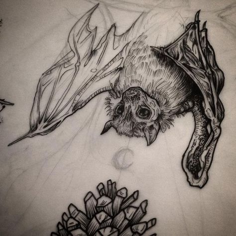 Black Work Bat Tattoo, Water Creature Tattoo, Bat Ink Drawing, Bat Tattoo Blackwork, Fruit Bat Illustration, Bat Tattoo Linework, Fruit Bat Art, Brown Bat Tattoo, Fruit Bat Drawing