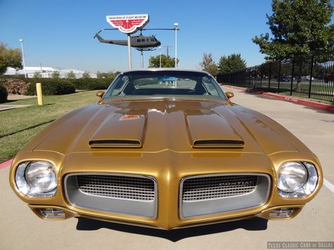 Pontiac Firebird 1970, Pontiac Firebird Formula, Firebird Formula, Pontiac Firebird Trans Am, Future Cars, Cars Auto, Exterior Paint Color, Firebird Trans Am, Fire Bird