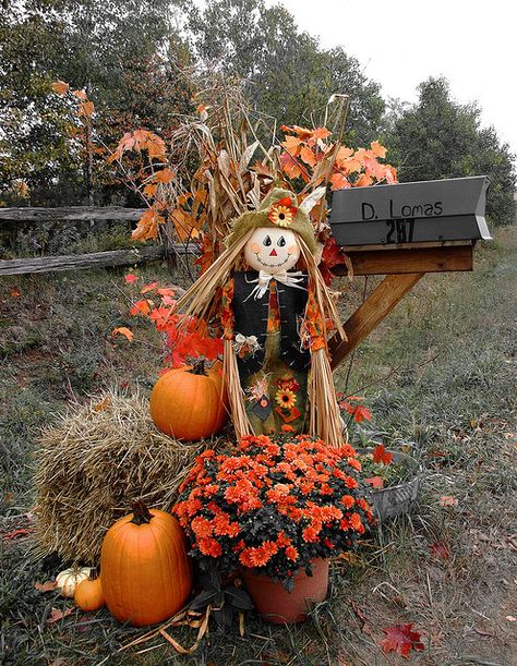 Mailbox.... curb appeal for autumn and Fall!!!! mailbox decorations are probably theeee most important part of establishing curb appeal!!  It's the very lst thing they see Porches Ideas, Fall Mailbox, Outdoor Porches, Thanksgiving Decorations Outdoor, Fall Yard Decor, Outdoor Fall Decor Ideas, Outside Fall Decor, Mailbox Decor, Fall Deco