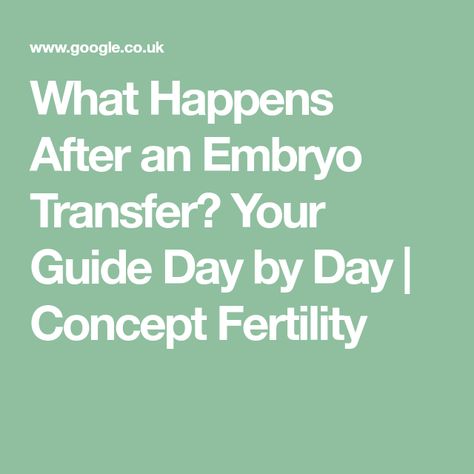 What Happens After an Embryo Transfer? Your Guide Day by Day | Concept Fertility Fet Transfer, After Embryo Transfer, Increase Progesterone, Frozen Embryo Transfer, Hcg Levels, Ivf Pregnancy, Embryo Transfer, Hormone Levels, Pregnancy Stages