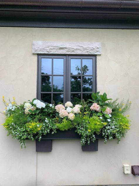 One Window Box, Four Seasons - FineGardening Full Sun Window Boxes, Window Boxes Ideas, Sun Window, Window Box Plants, Window Planter, Window Box Garden, Big Leaf Hydrangea, Boxes Ideas, Summer Window