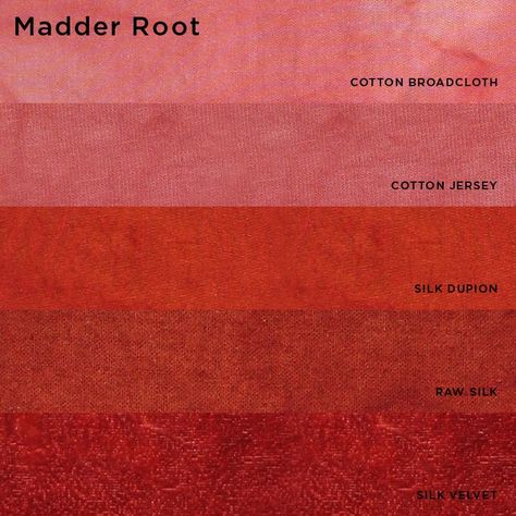 Natural Dyes (from plants and insects) - Madder Root … | Natural dye fabric, How to dye fabric, Textile dyeing Dyers Garden, Madder Plant, Dye Garden, Diy Dye, Textile Dyeing, Natural Dye Fabric, Madder Root, Eco Dyeing, Tie Dye Crafts