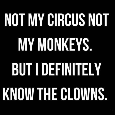 Clown Quotes Truths, One Monkey Dont Stop No Show Quotes, Happy Sassy Quotes, My Circus My Monkeys, Feral Quotes Funny, Not My Circus Not My Monkeys Quotes, Clowns Quotes, Clown Quotes Funny, My Circle Quotes