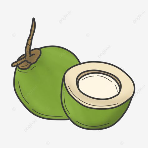 Coconut Drawing Illustration, Coconut Cartoon Drawing, Coconut Drawing Easy, Coconut Cartoon, Coconut Drawing, Coconut Illustration, Coconut Clipart, Tamil Alphabets, Coconut Vector