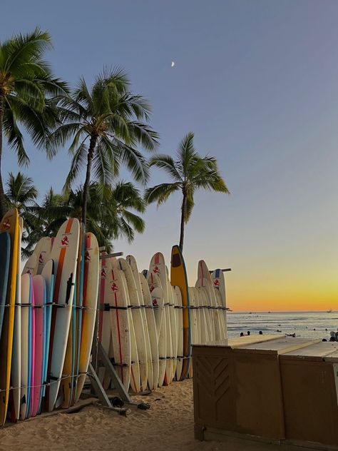 Summer View Aesthetic, Aesthetic Surfer Wallpaper, Hawaii Surfing Aesthetic, Beach Aesthetic Hawaii, Holiday Aesthetic Pictures, Summer Aesthetic Hawaii, Hawaii Local Aesthetic, Summer Hawaii Aesthetic, Vision Board Hawaii