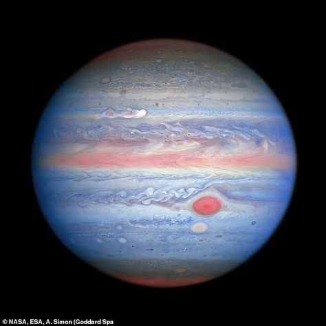 Stunning photo reveals a new 'Great Red Spot' is forming on Jupiter | Daily Mail Online 9/18/20 NASA says Hubble's near infrared imaging, combined with ultraviolet views, provides a unique panchromatic look at Jupiter (pictured) that offers insights into the altitude and distribution of the planet's haze and particles. It also makes the gas giant look like a gobstopper Jupiter In Taurus, Telescope Pictures, Great Red Spot, Nasa Hubble, Richard Feynman, Hubble Images, Hubble Telescope, Planets And Moons, Images Kawaii