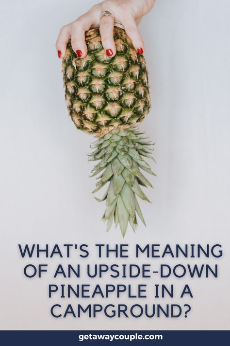 Pineapple Meaning, Upside Down Pineapple, Camping Rules, Tropical Lifestyle, Ripe Pineapple, New Home Buyer, Pineapple Upside, Pineapple Upside Down, Chinese Words